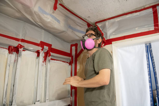 Best Basement Mold Removal  in , WA